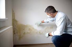 Best Post-Construction Mold Inspection  in Crest Hl, IL